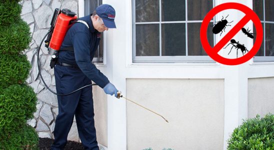 Hassa Hamam Böceği İlaçlama böcek ilaçlama ve haşere kontrolü — ilaclama-tr.com